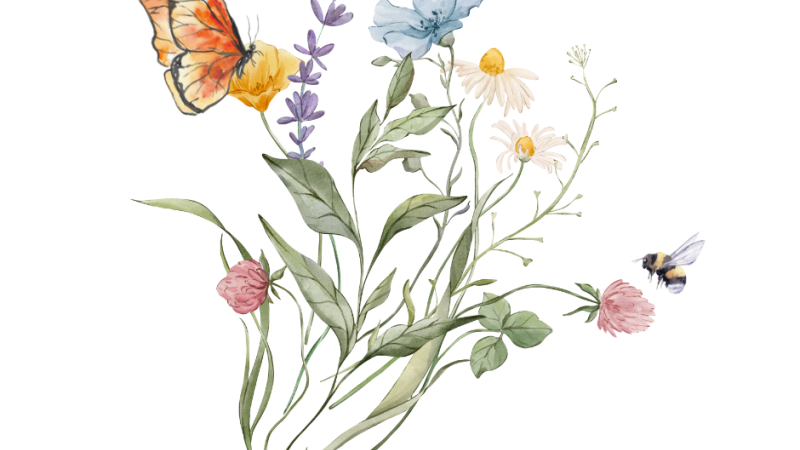 Wildflowers and a butterfly.
